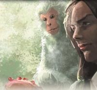 Monkey 2