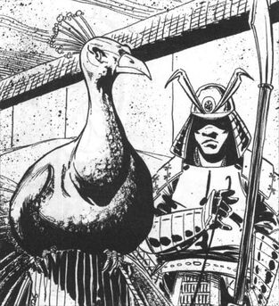 File:Peacock 2.jpg