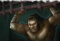 Strength of the Bear