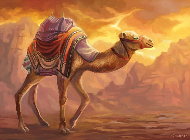 File:Camel 3.jpg