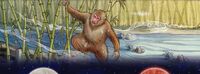 Hour of the Monkey