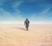 White Shore Plain