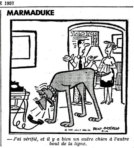 Fichier:Marmaduke.jpg