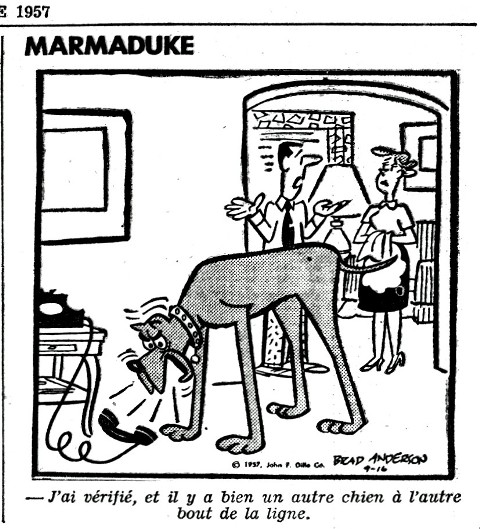 Marmaduke.jpg
