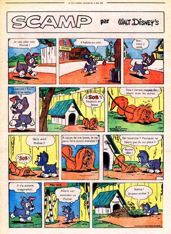 Fichier:Scamp ptj.jpg