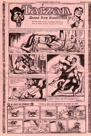 Fichier:Tarzan tribune.jpg