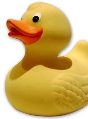 Pato-goma-utilizado-experimento-NASA.jpg