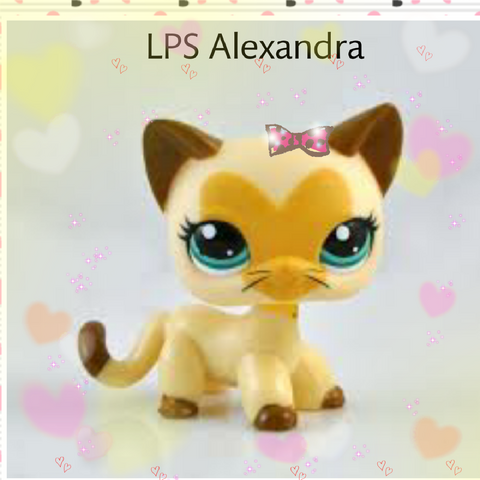 File:Pic 1402194915782.png