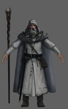 Mago gris.jpg