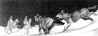 Ataque lobos