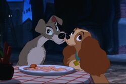 Ladyandthetramp643