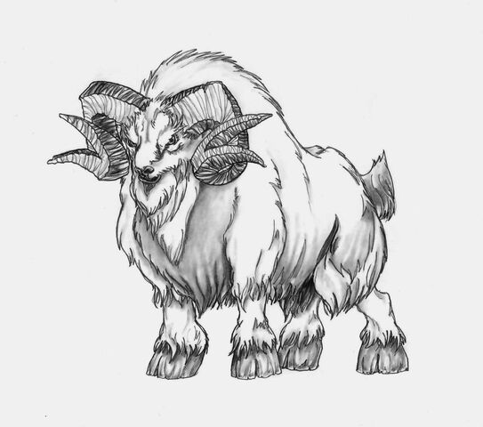 File:Sheep.jpg