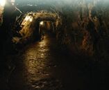 Underground