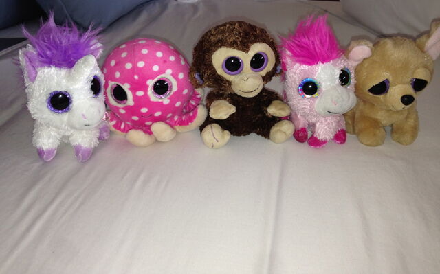 File:11-9-13 LittleMonsters.com 001.jpg