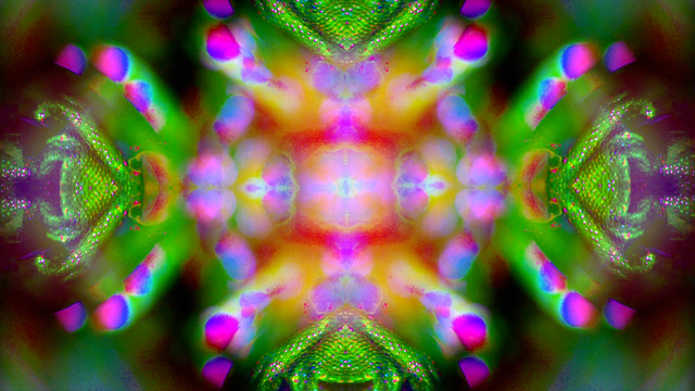 File:SHOWstudio-JustDance-04.png
