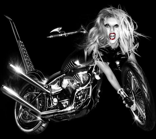 File:12-14-10 Nick Knight 012.jpg