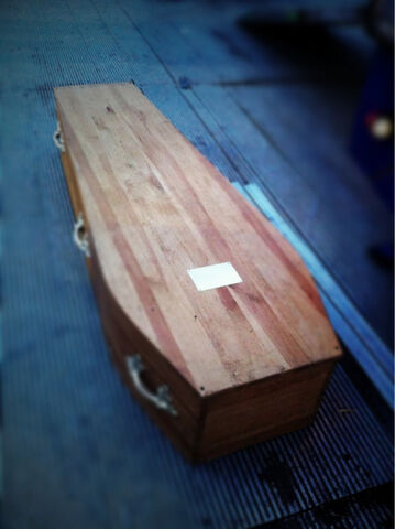File:GaGa Coffin.jpg