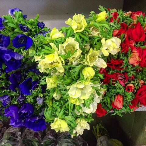 File:11-14-15 Twitter 001.jpg