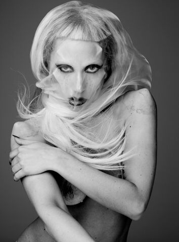 File:2-6-11 Mariano Vivanco 021.jpg