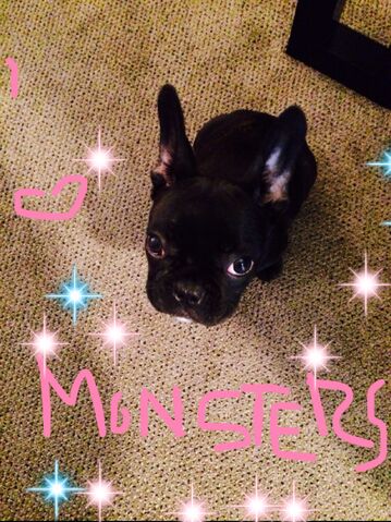 File:5-11-14 LittleMonsters.com 001.jpg