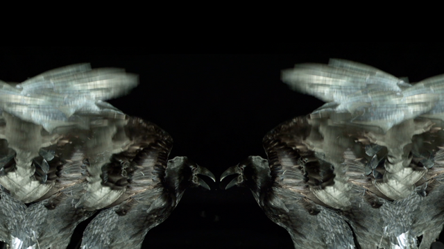 File:SHOWstudio-Raven-01.png