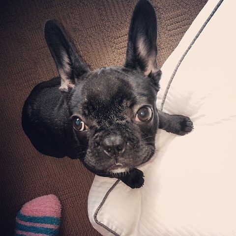 File:5-27-14 Instagram 002.jpg