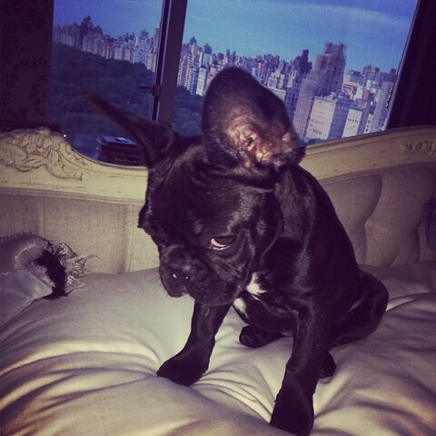 File:6-8-14 Instagram 002.jpg