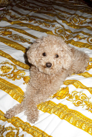 File:8-27-12 Terry Richardson 003.jpg