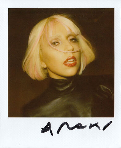 File:Nobuyoshi Araki Polaroid 2.jpg