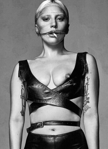 File:0-0-15 Steven Klein 006.jpg