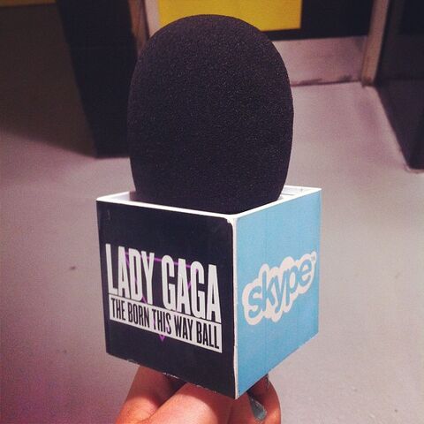 File:Skype Blue carpet Microphone.jpg