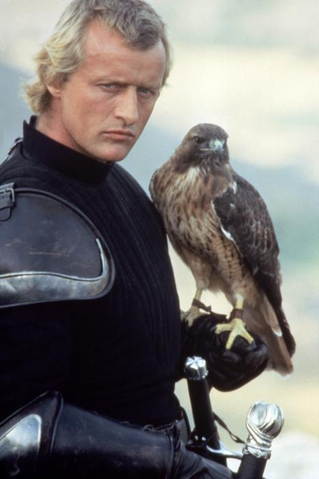 File:Navarre&Ladyhawke.png