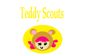 TEDDY SCOUTS