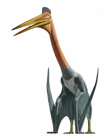 File:Quetzalcoatlus.jpg