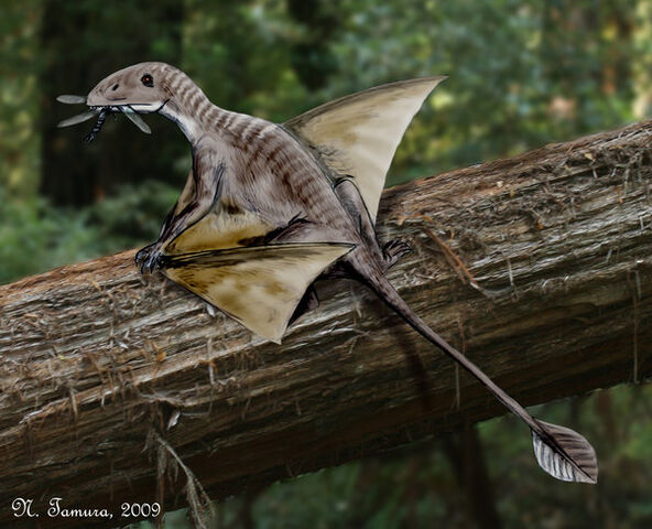 File:Peteinosaurus.jpg