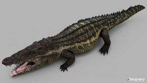 Goniopholis