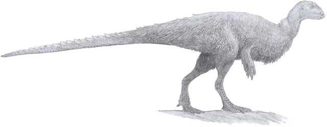 File:Orodromeus.png