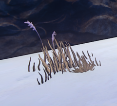 Desert Grass prop placed