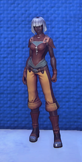 Travelers Attire Yellow equipped