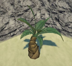 Jungle-palmetto-tall