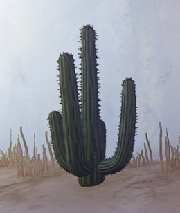 Desert Cactus prop placed