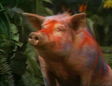 Land-of-the-lost-season-2-3-fair-trade-episode-20-savage-wild-pig-review-episode-guide-list
