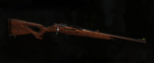 Bolt Action Rifle