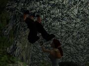 Claudioambush.jpg