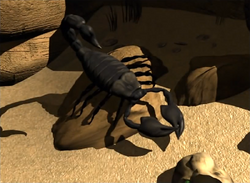 Scorpion