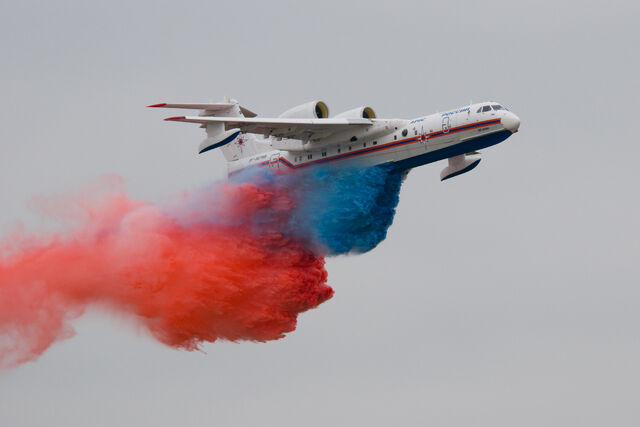 File:Albatross 9.jpg