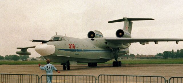 File:Albatross 7.jpg