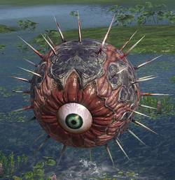 Evil Eye