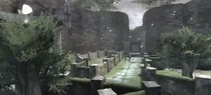 Mystic Forest