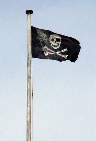 File:Flag Day.jpg